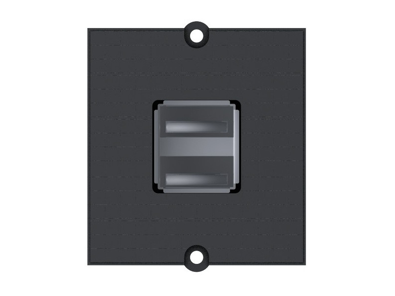 Bachmann Custom Modul 2x USB 2.0 A/A schwarz (917.141) Bachmann Custom Modul 2x USB 2.0 A/A schwarz (917.141)