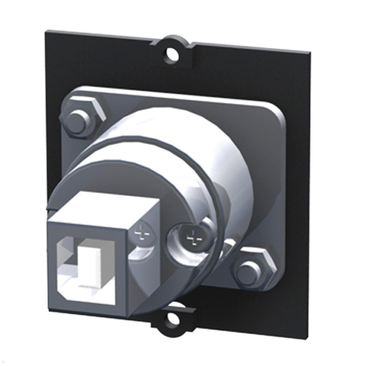 Bachmann Custom Modul 2.0 mit USB-A und USB-B (917.018) Bachmann Custom Modul 2.0 mit USB-A und USB-B (917.018)