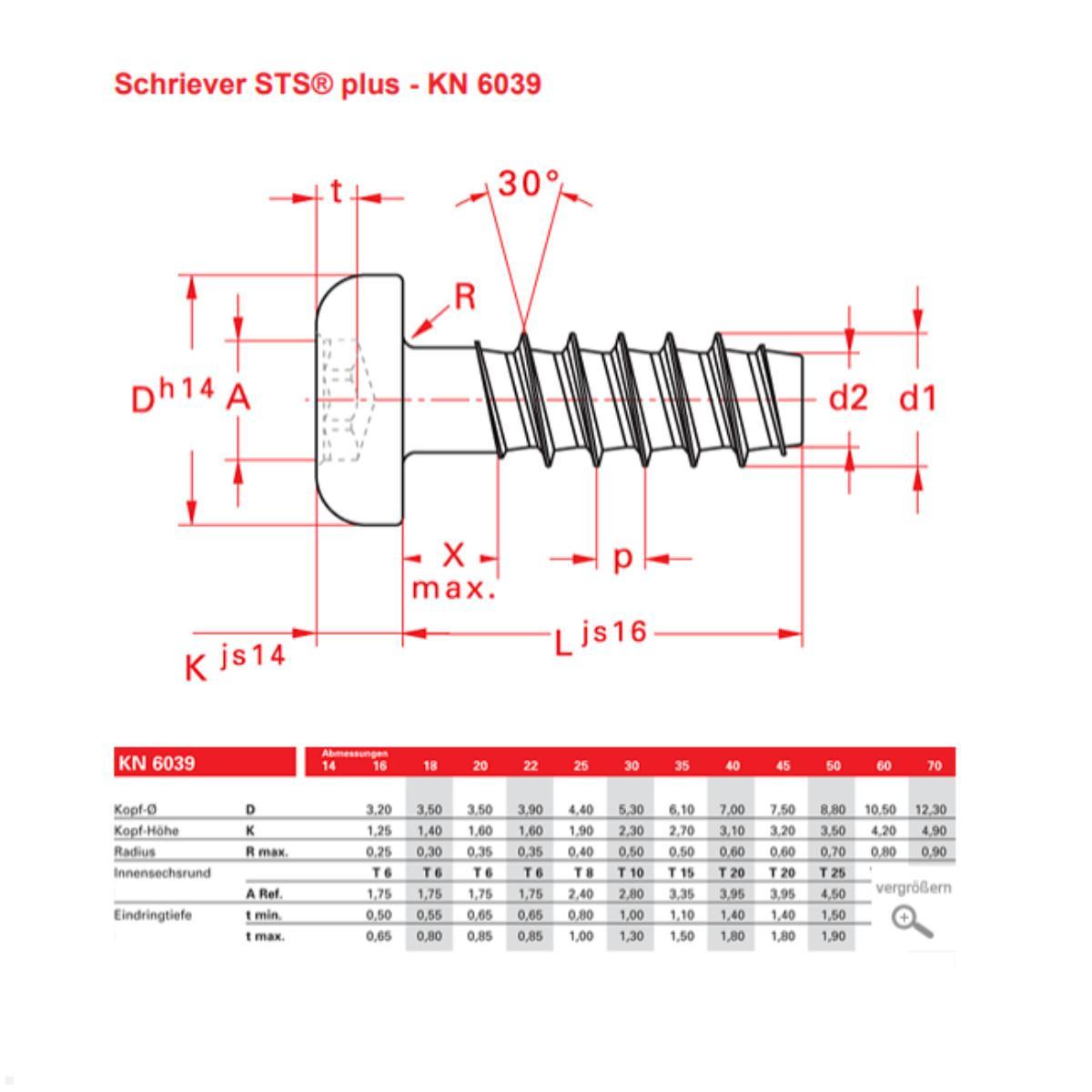 Torx T6 Schraubenset für Custom Module, Bachmann 917.041